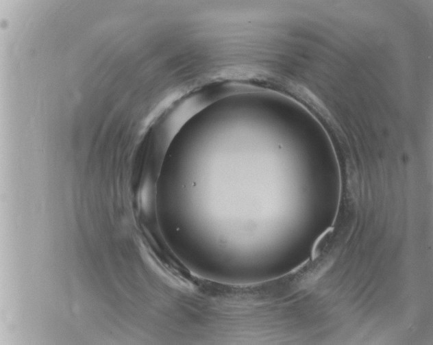 X0000073730530200608101932