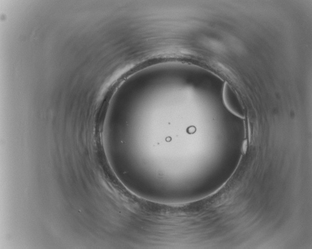 X0000073730531200608101932