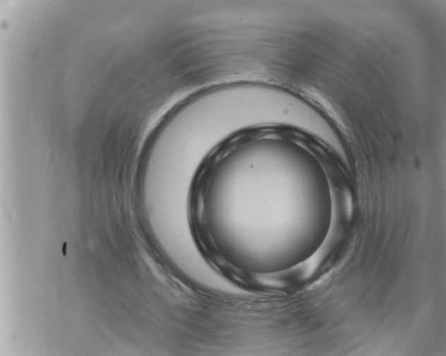 X0000073730532200608101932