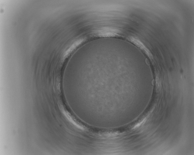 X0000073730533200608101932