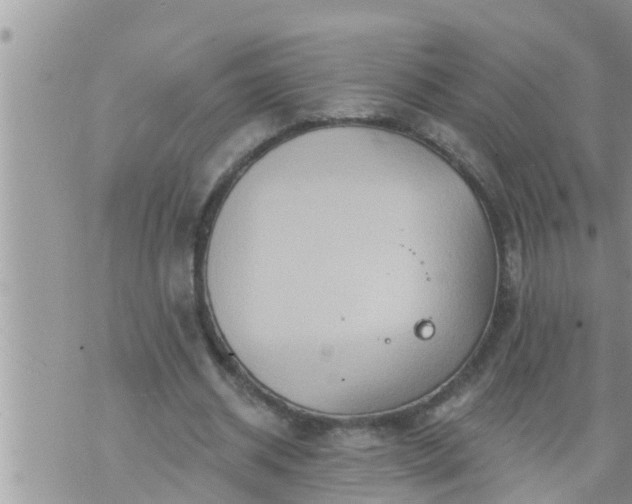 X0000073730534200608101932