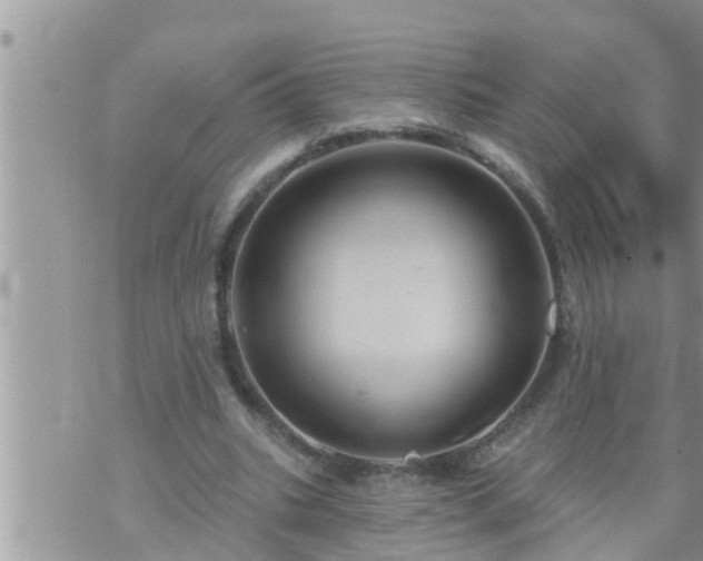 X0000073730535200608101932