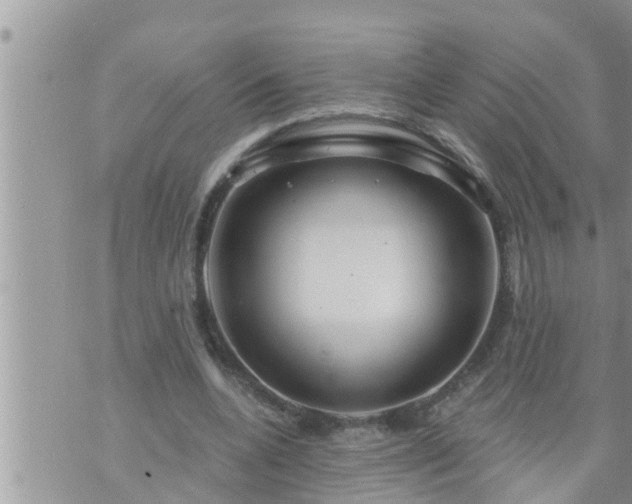 X0000073730536200608101932