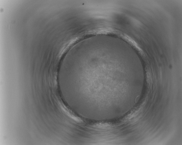 X0000073730537200608101932