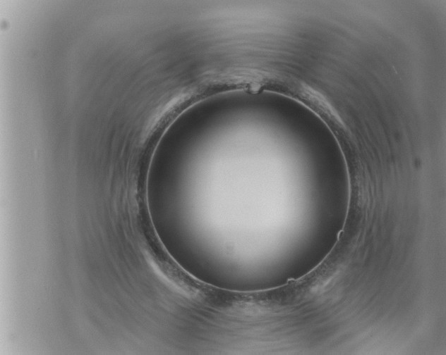 X0000073730538200608101932