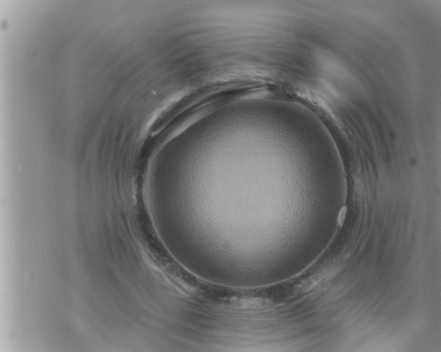 X0000073730539200608101932