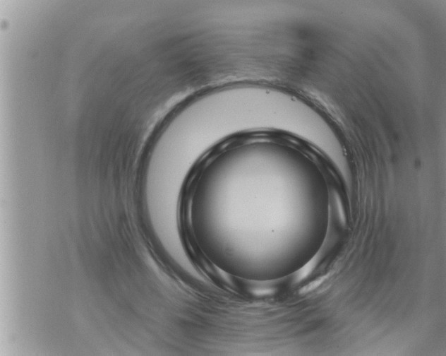 X0000073730540200608101932