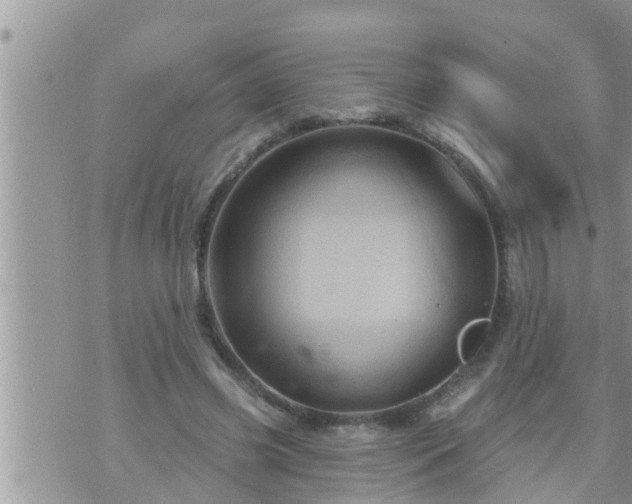 X0000073730541200608101932