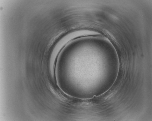 X0000073730542200608101932