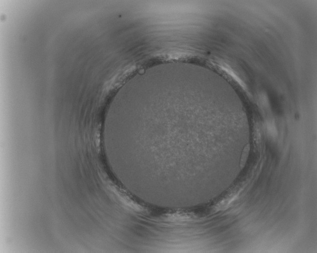 X0000073730545200608101932