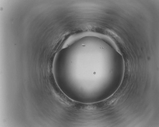 X0000073730546200608101932