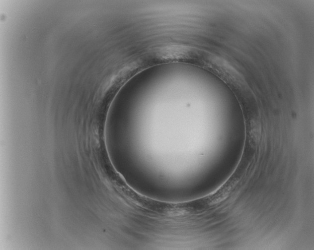 X0000073730547200608101932