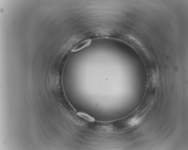 X0000073730548200608101932