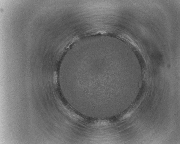 X0000073730549200608101932