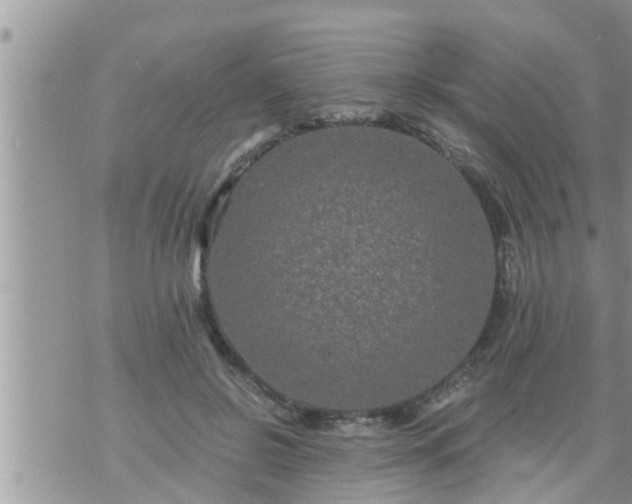 X0000073730550200608101932