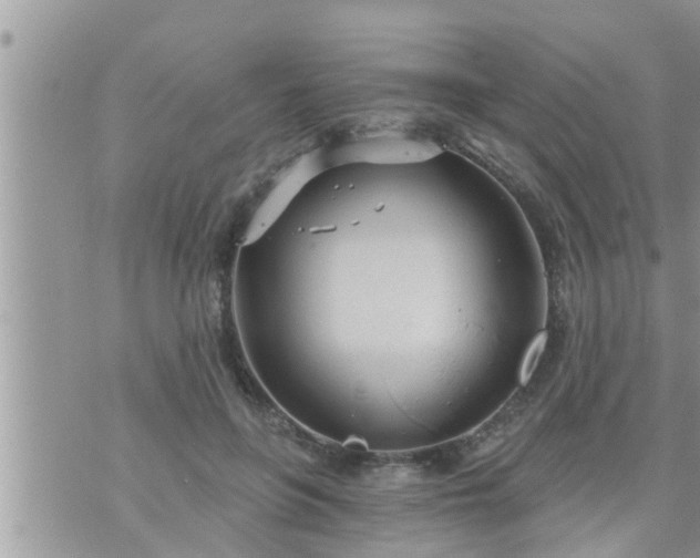 X0000073730551200608101932