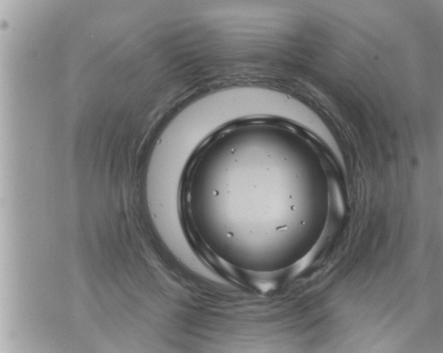 X0000073730552200608101932