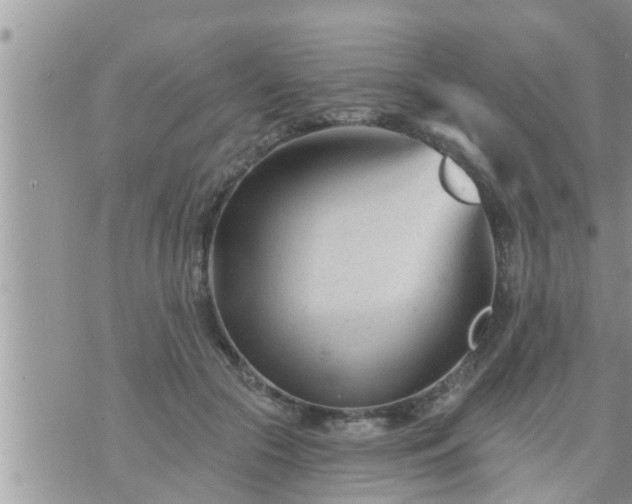 X0000073730553200608101932