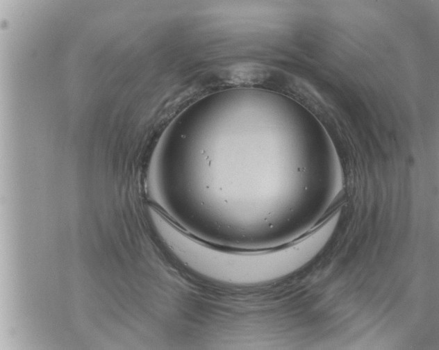 X0000073730554200608101932