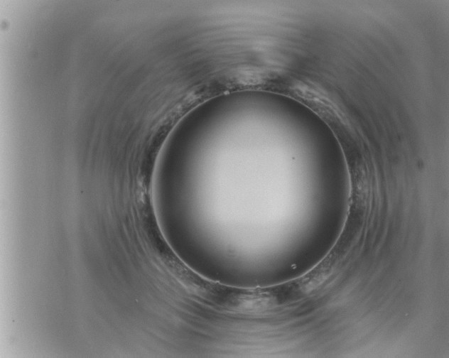 X0000073730555200608101932