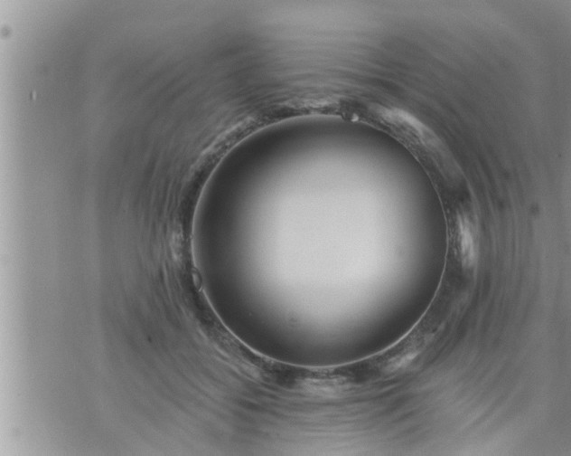 X0000073730556200608101932