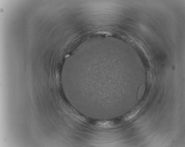 X0000073730557200608101932