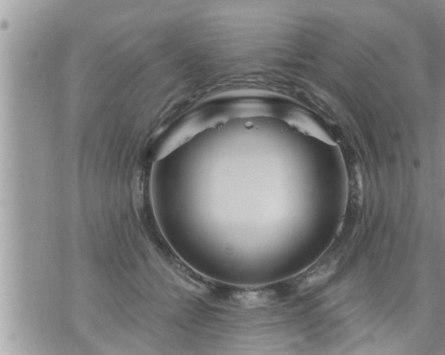 X0000073730558200608101932