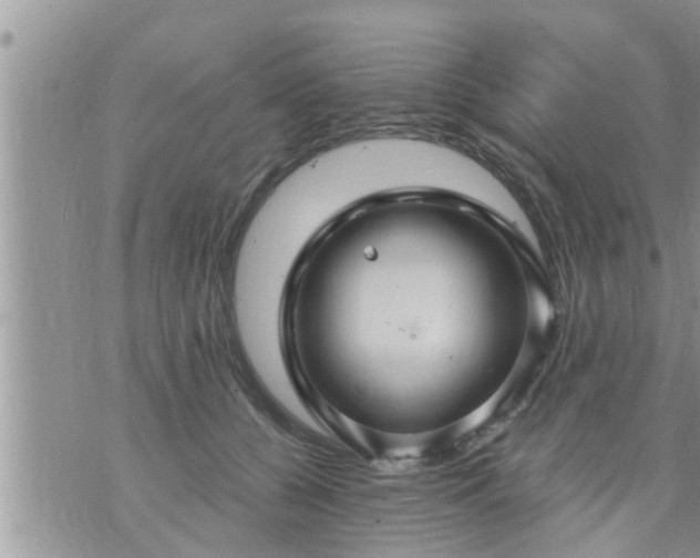 X0000073730560200608101932