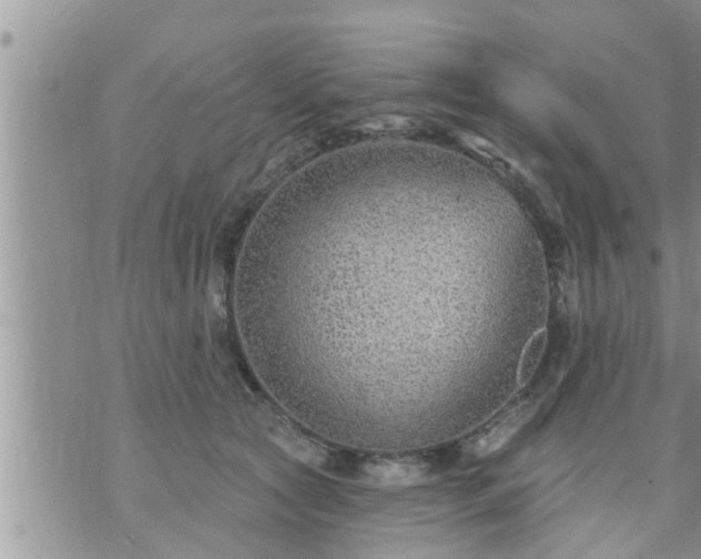 X0000073730561200608101932