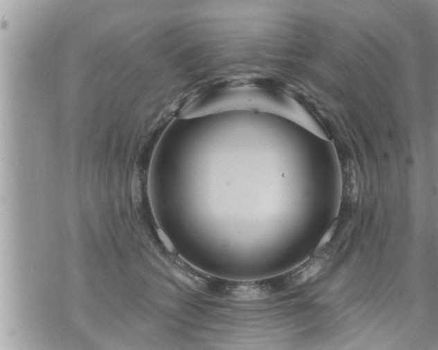 X0000073730562200608101932