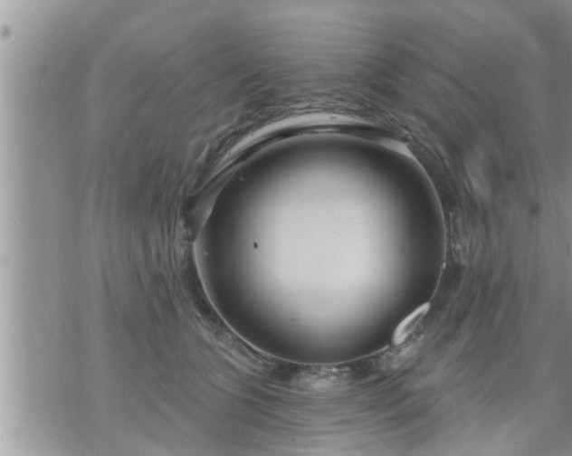 X0000073730563200608101932