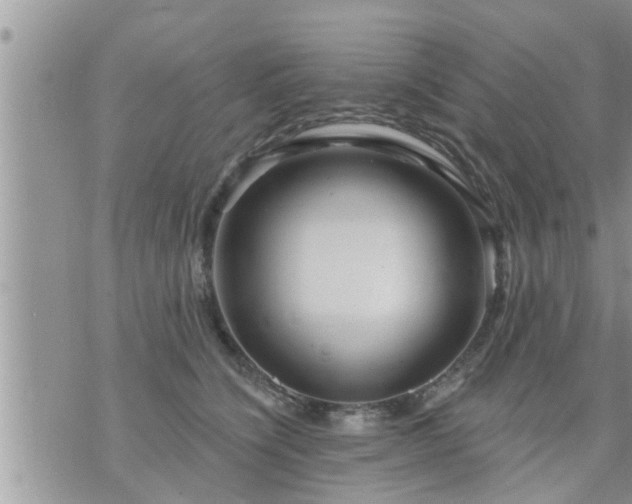 X0000073730564200608101933