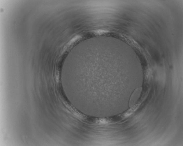 X0000073730565200608101933