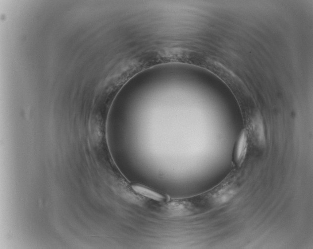 X0000073730566200608101933