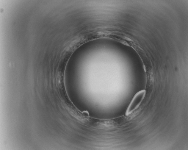 X0000073730567200608101933