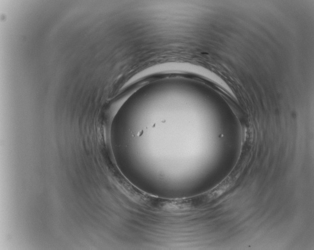 X0000073730568200608101933