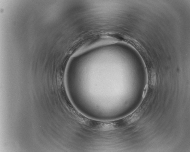 X0000073730569200608101933