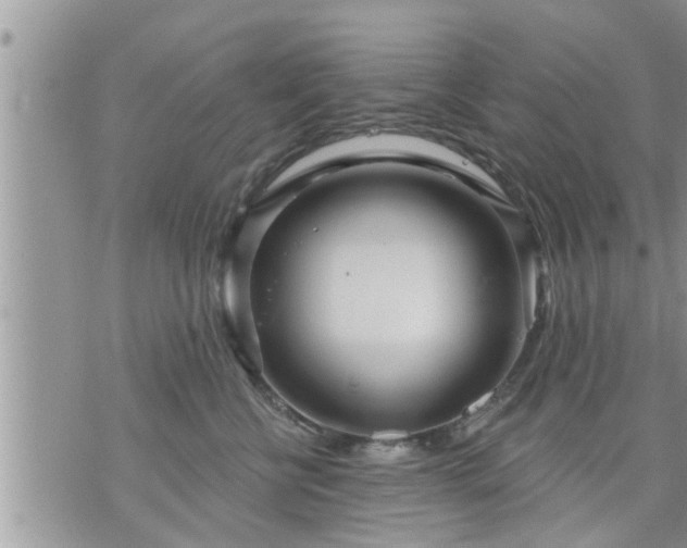 X0000073730570200608101933