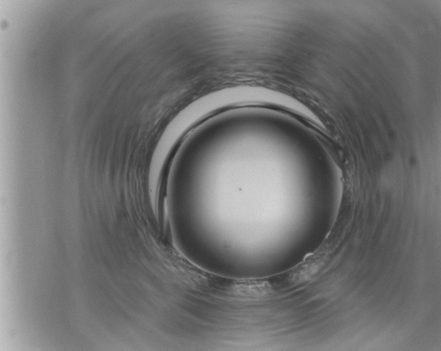 X0000073730571200608101933