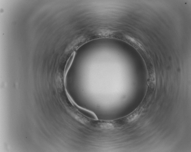 X0000073730572200608101933