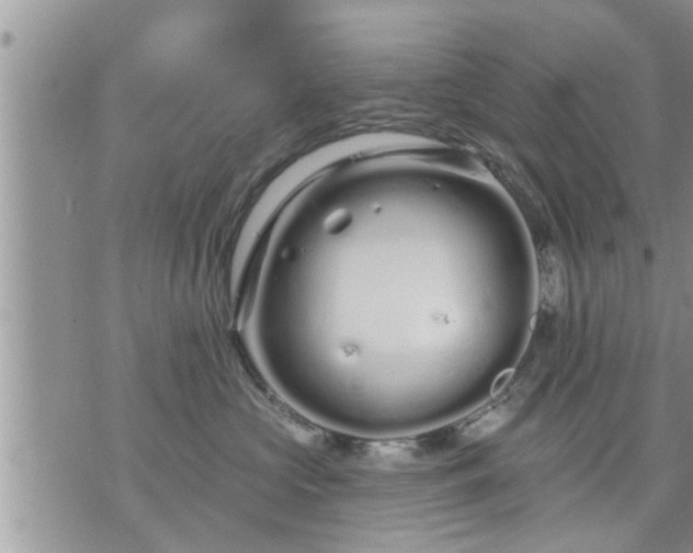 X0000073730573200608101933