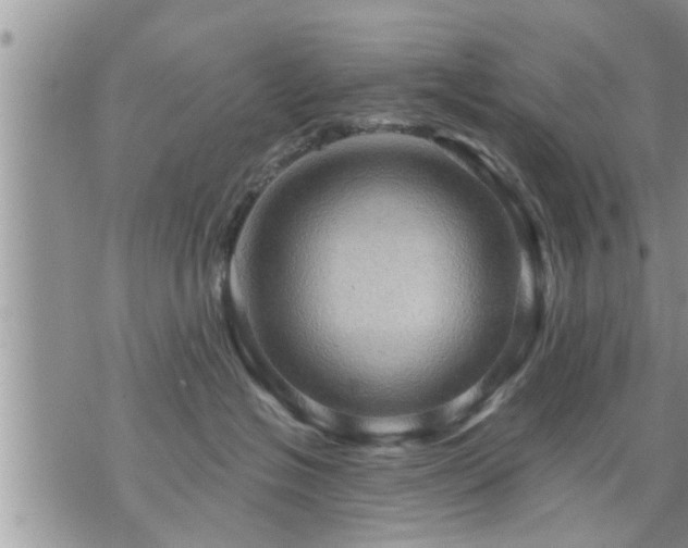 X0000073730574200608101933