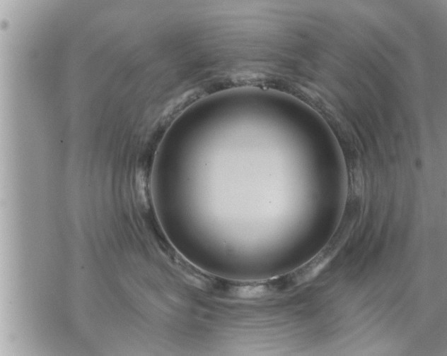 X0000073730575200608101933