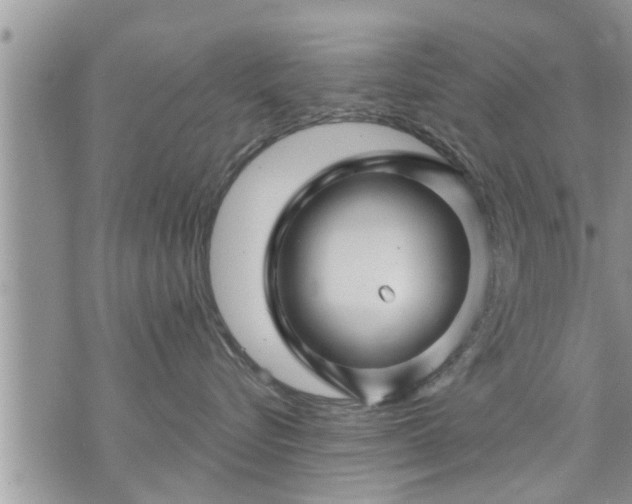 X0000073730576200608101933