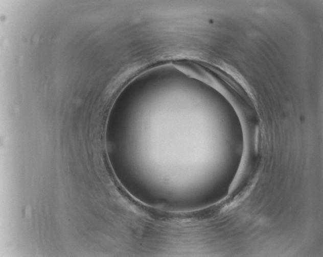 X0000073730577200608101932