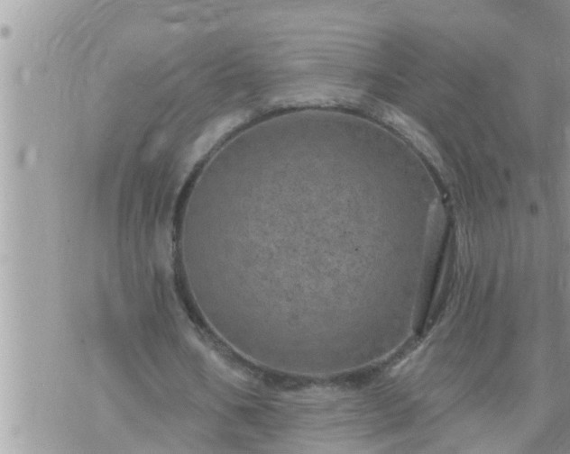 X0000073730578200608101932