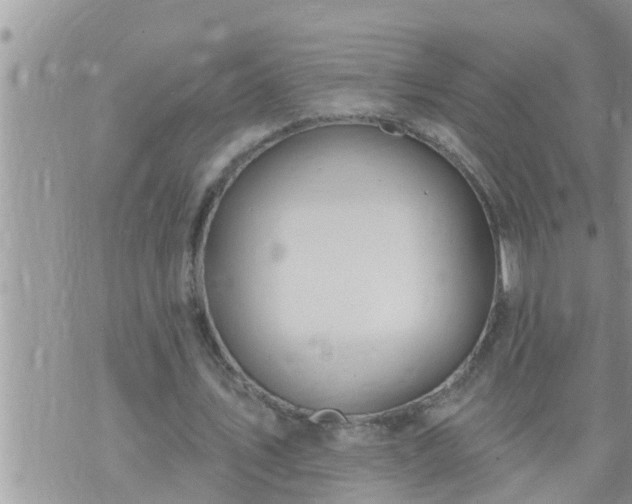 X0000073730579200608101932