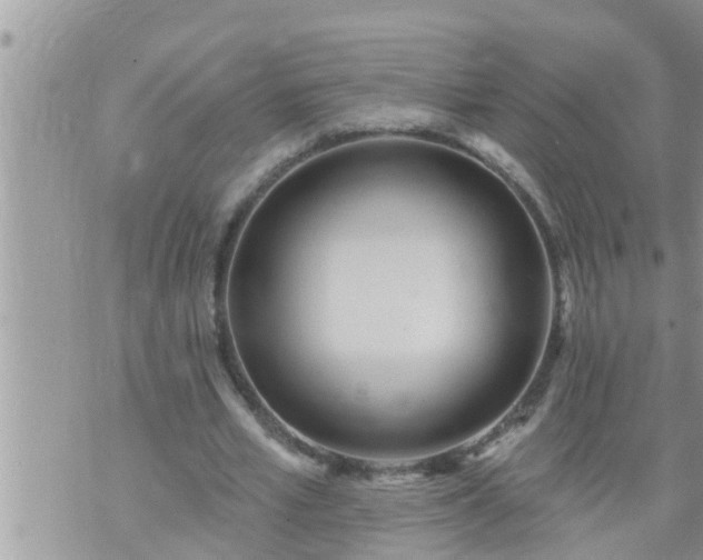 X0000073730581200608101932