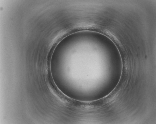 X0000073730582200608101932