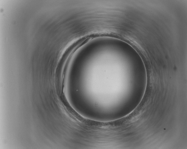 X0000073730584200608101932